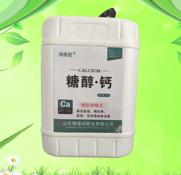 ������-�Ǵ���