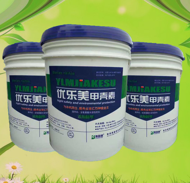 �������׿���